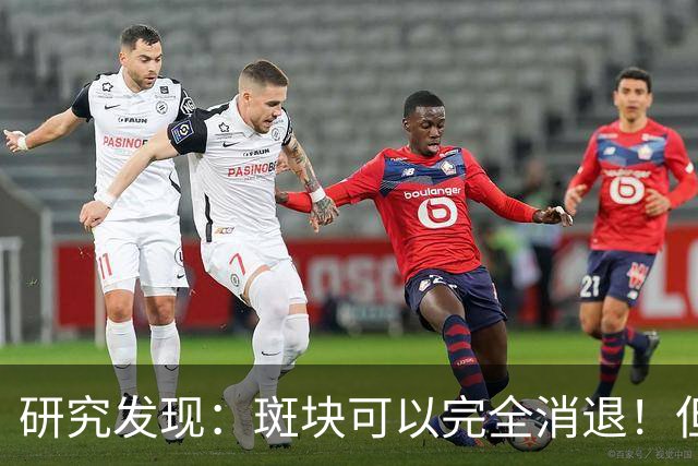 研究发现：斑块可以完全消退！但需要满足4个条件