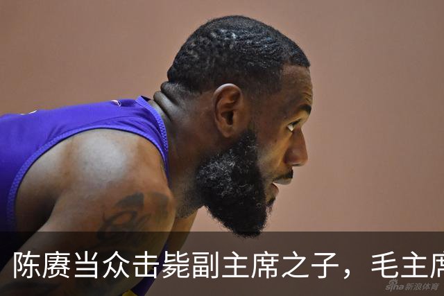 陈赓当众击毙副主席之子，毛主席一言不发，就送了一箱东西